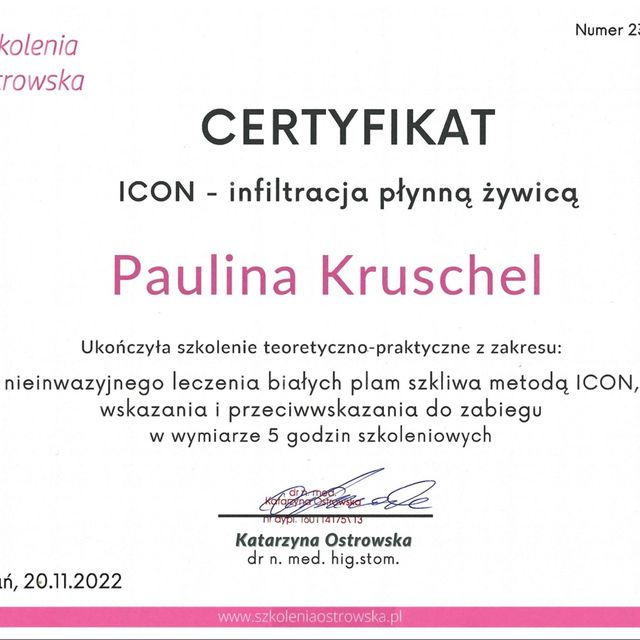 Powiększ obraz: certificate 10