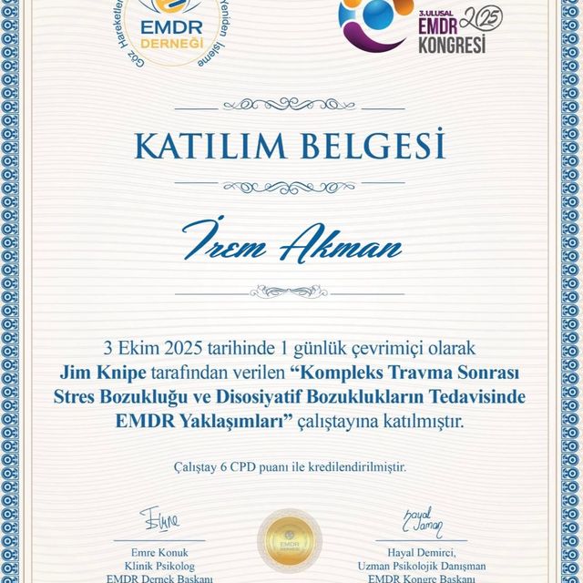 Resmi büyüt: certificate 6