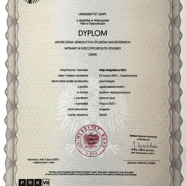 Powiększ obraz: certificate 1
