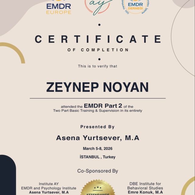 Resmi büyüt: certificate 8