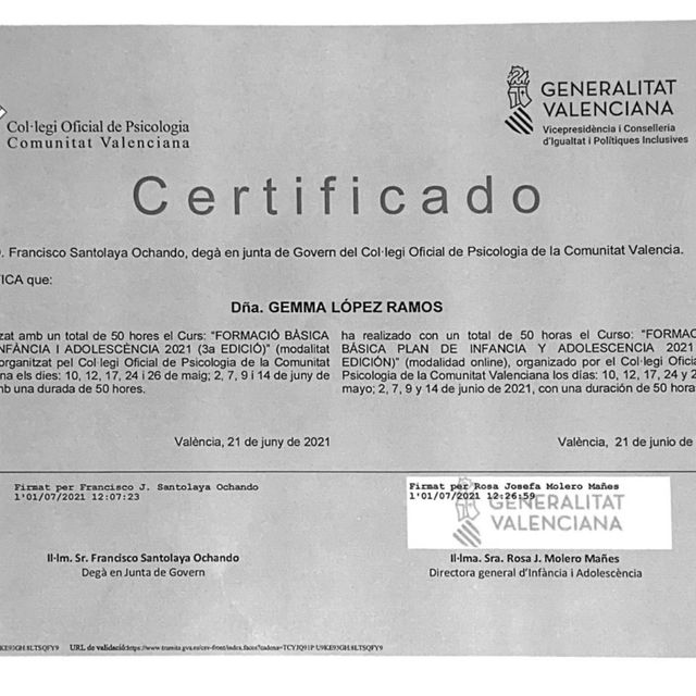 Acercar imagen: certificate 5