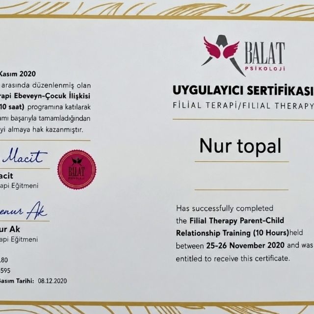 Resmi büyüt: certificate 8