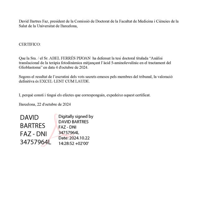 Acercar imagen: certificate 1