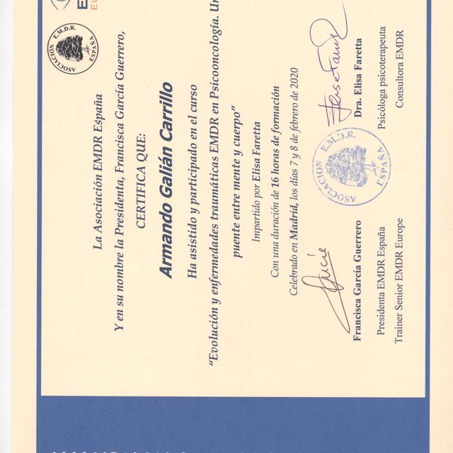Acercar imagen: certificate 9