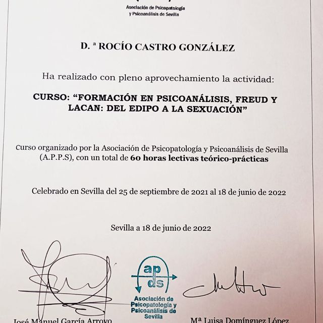 Acercar imagen: certificate 5