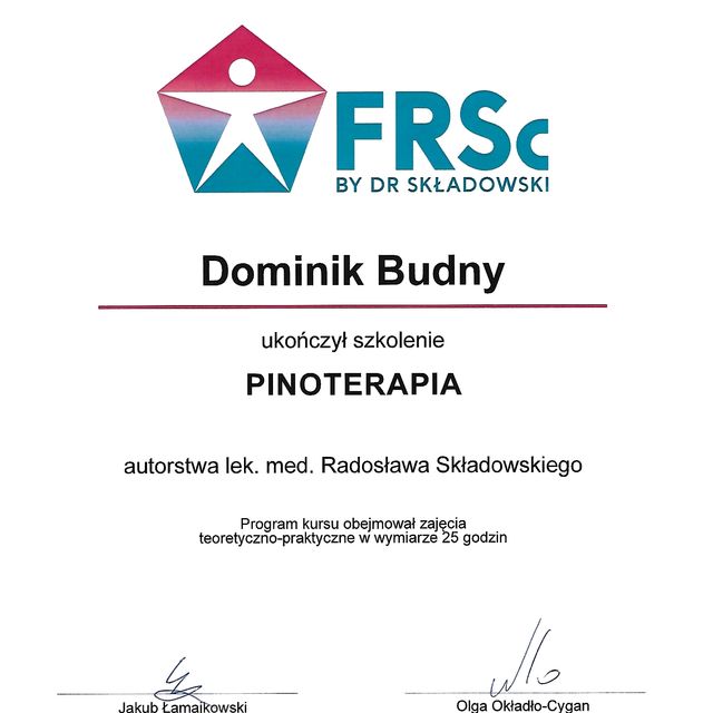 Powiększ obraz: certificate 2