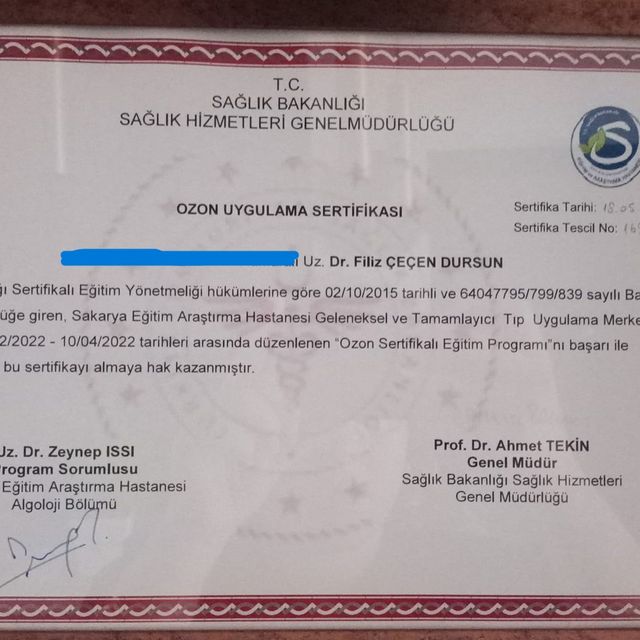 Resmi büyüt: certificate 1