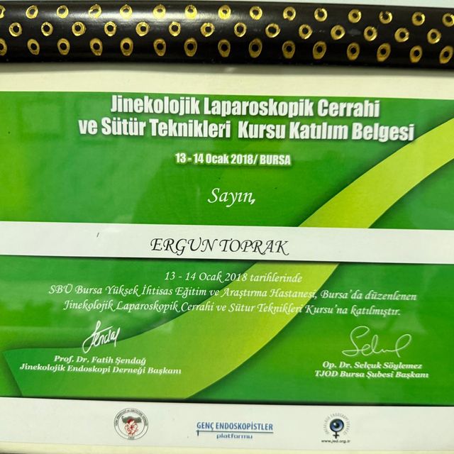 Resmi büyüt: certificate 25