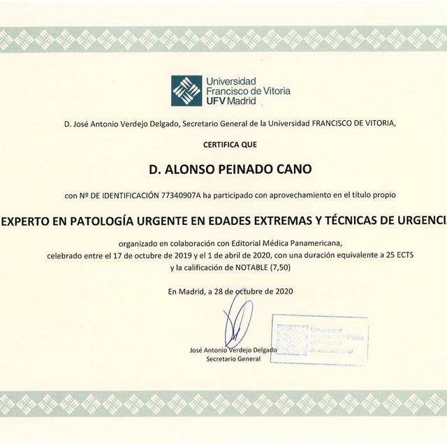 Acercar imagen: certificate 9