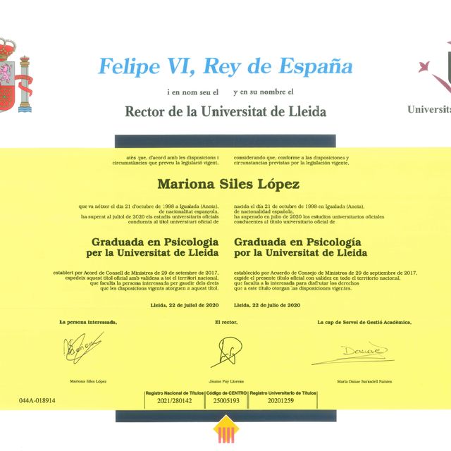 Acercar imagen: certificate 1