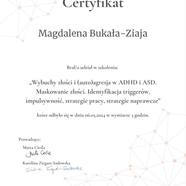 Powiększ obraz: certificate 17