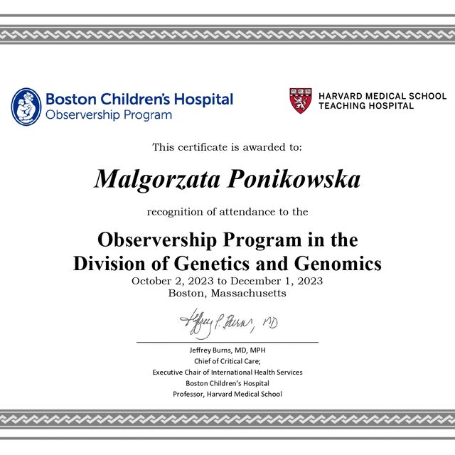 Powiększ obraz: certificate 1