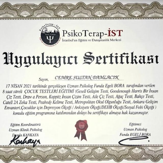Resmi büyüt: certificate 1