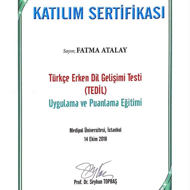 Resmi büyüt: certificate 9