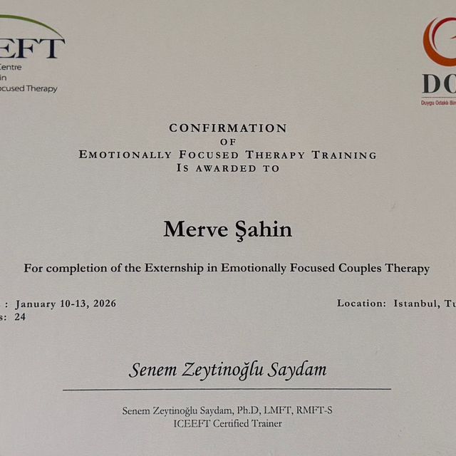 Resmi büyüt: certificate 5
