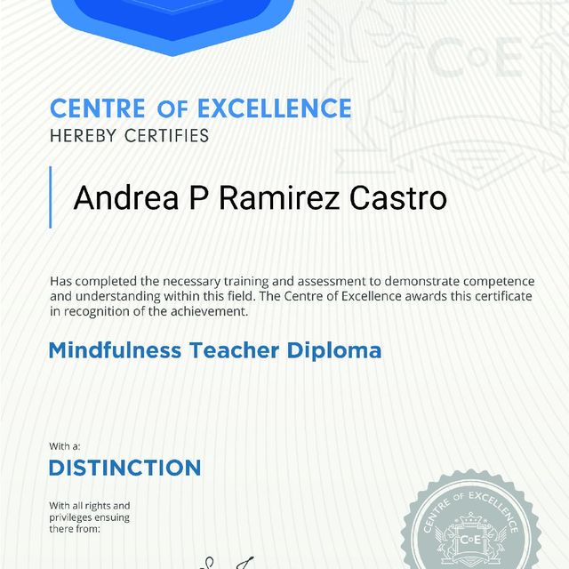 Acercar imagen: certificate 14