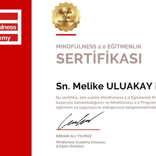 Resmi büyüt: certificate 36