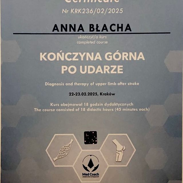 Powiększ obraz: certificate 1