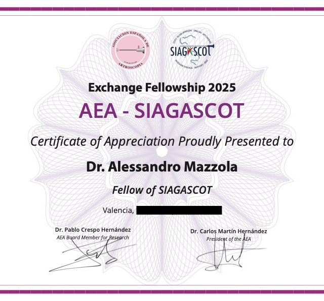 Ingrandire l'immagine: certificate 3