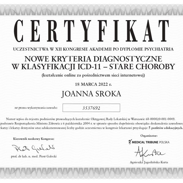 Powiększ obraz: certificate 1