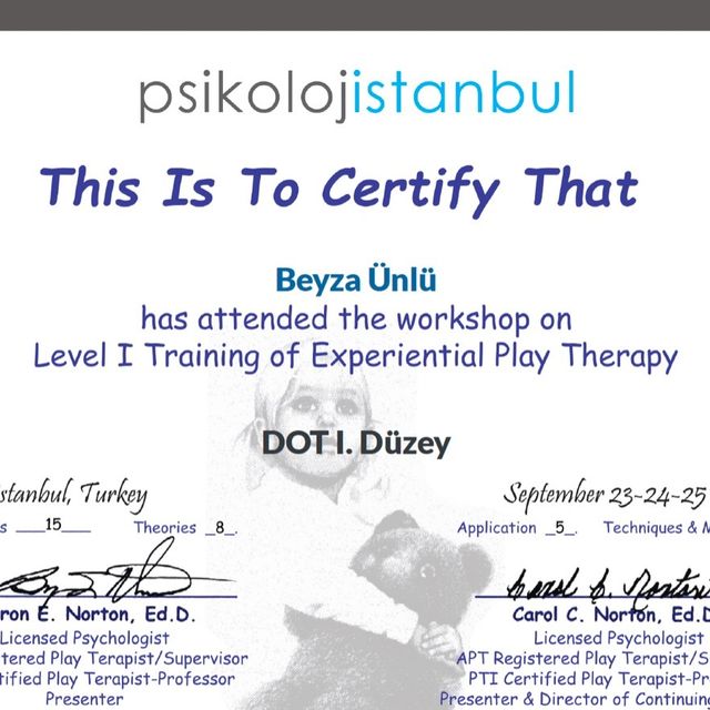 Resmi büyüt: certificate 2