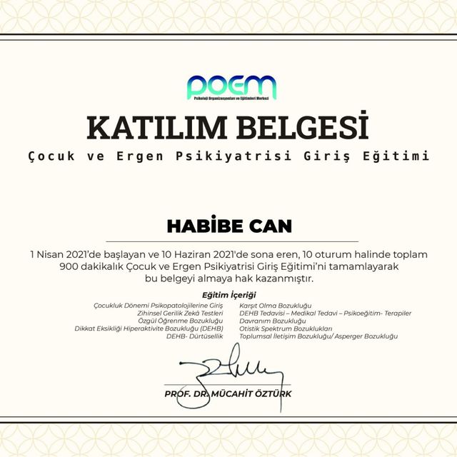 Resmi büyüt: certificate 9