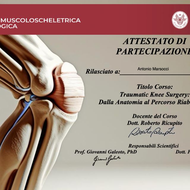 Ingrandire l'immagine: certificate 13