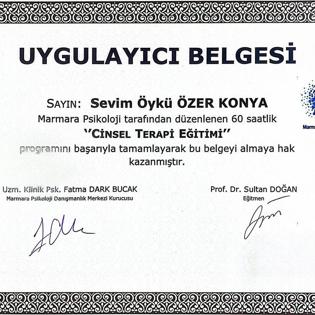 Resmi büyüt: certificate 6