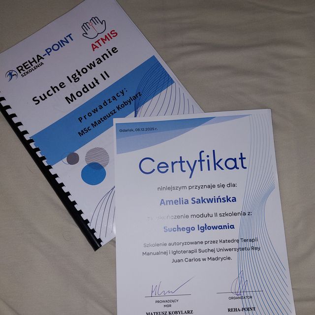 Powiększ obraz: certificate 2