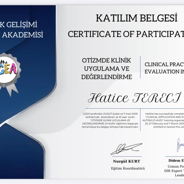 Resmi büyüt: certificate 21