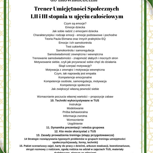 Powiększ obraz: certificate 11