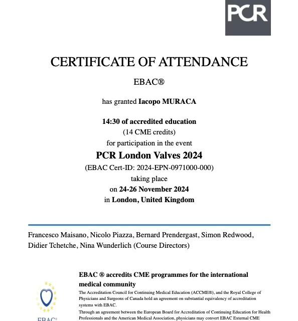Ingrandire l'immagine: certificate 4
