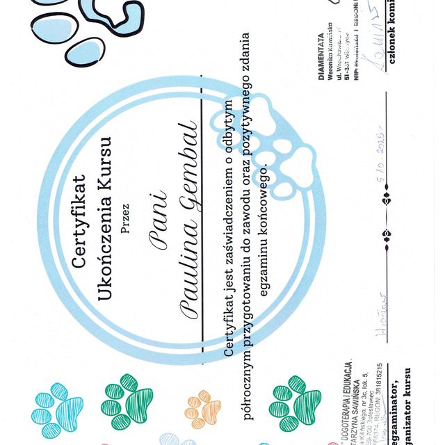 Powiększ obraz: certificate 1