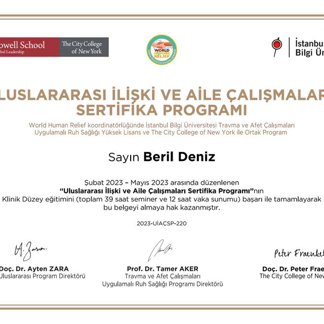 Resmi büyüt: certificate 2
