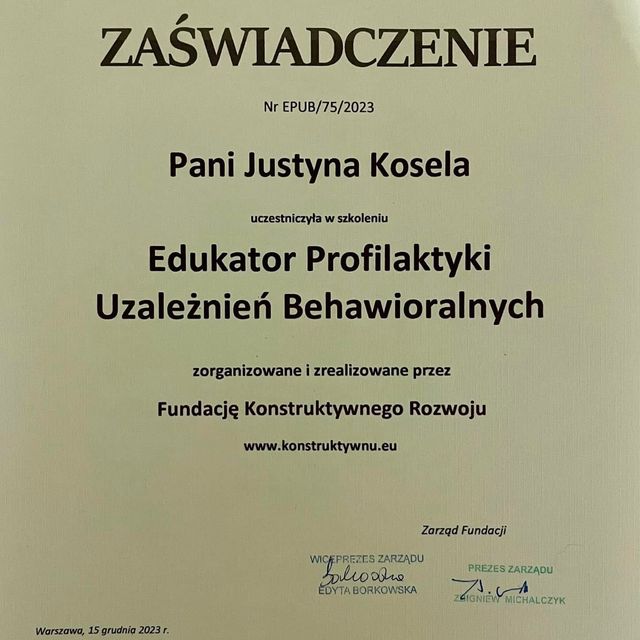 Powiększ obraz: certificate 7
