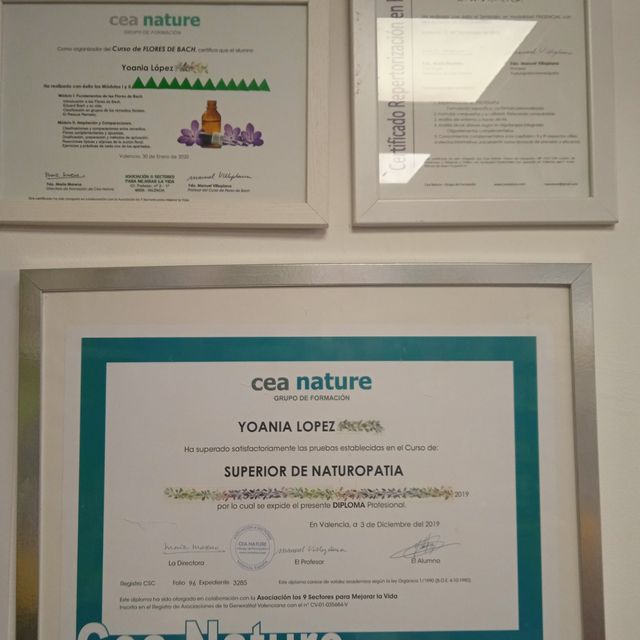 Acercar imagen: certificate 2