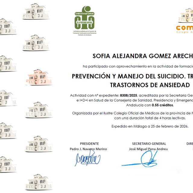 Acercar imagen: certificate 8