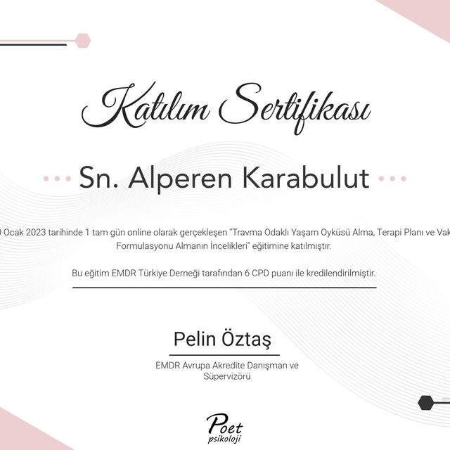 Resmi büyüt: certificate 4