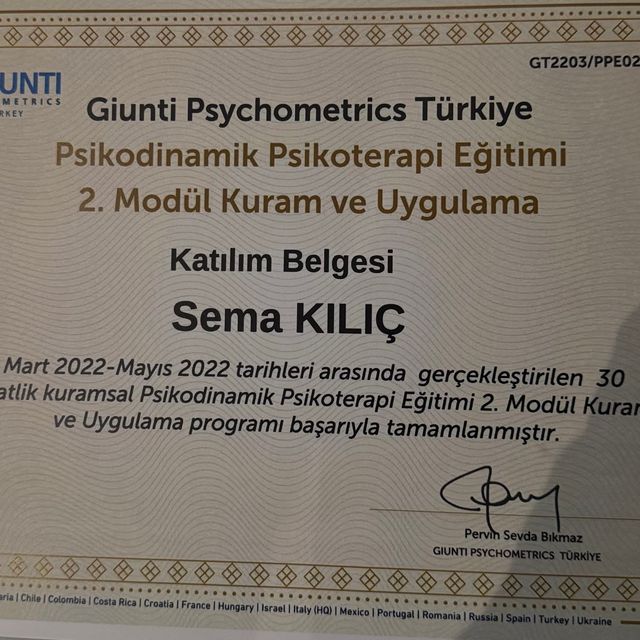 Resmi büyüt: certificate 3