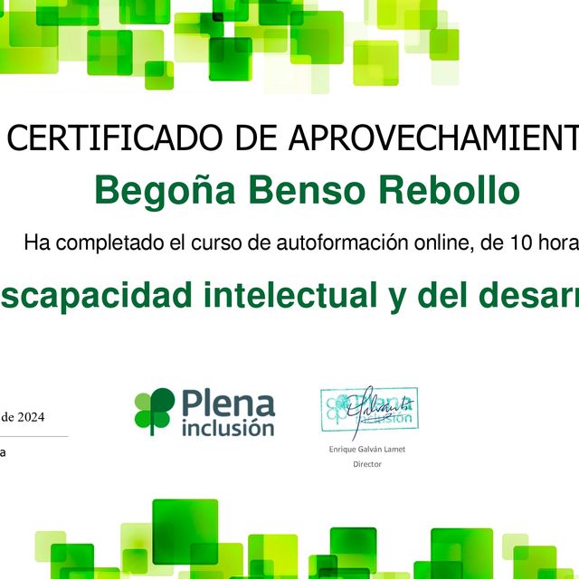 Acercar imagen: certificate 5