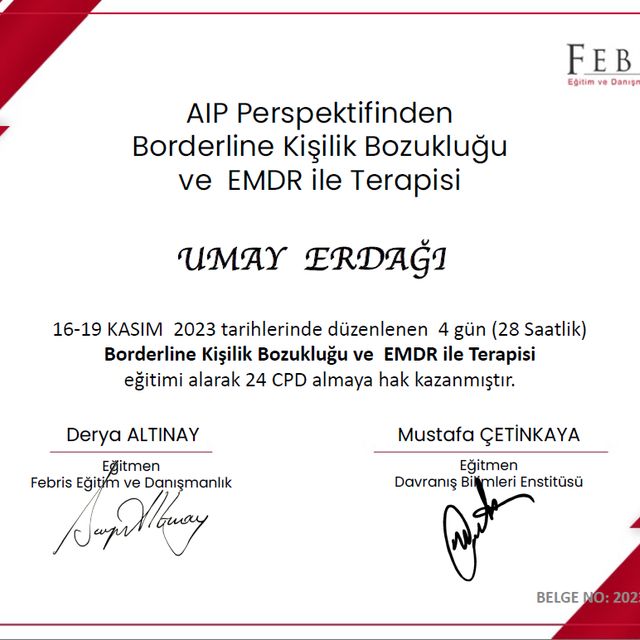 Resmi büyüt: certificate 4