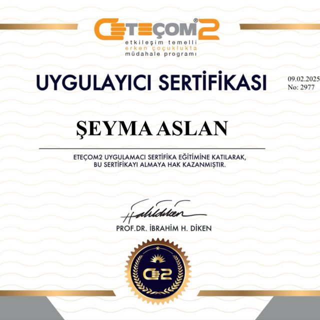 Resmi büyüt: certificate 6