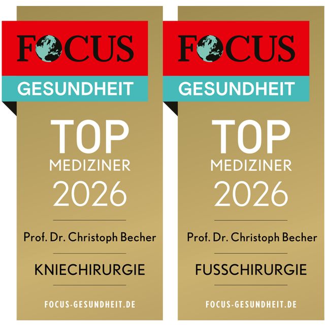 Bild vergrößern: certificate 2