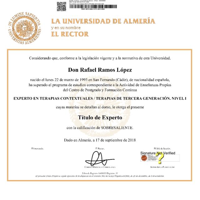 Acercar imagen: certificate 3