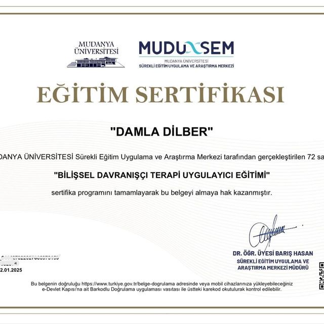 Resmi büyüt: certificate 42