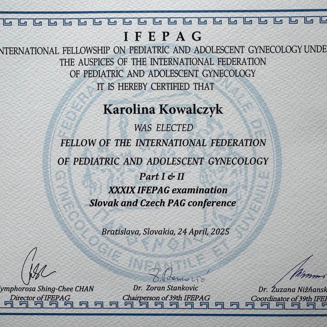 Powiększ obraz: certificate 1
