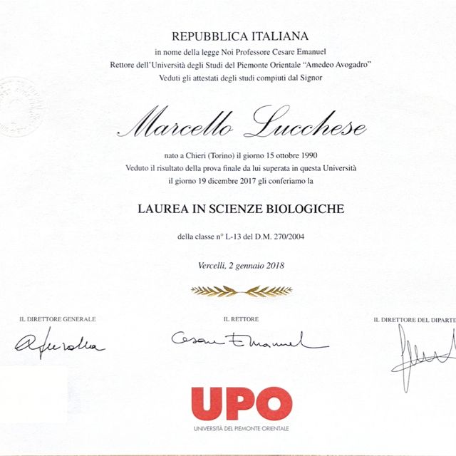 Ingrandire l'immagine: certificate 2