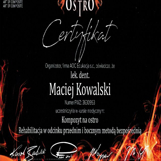 Powiększ obraz: certificate 6