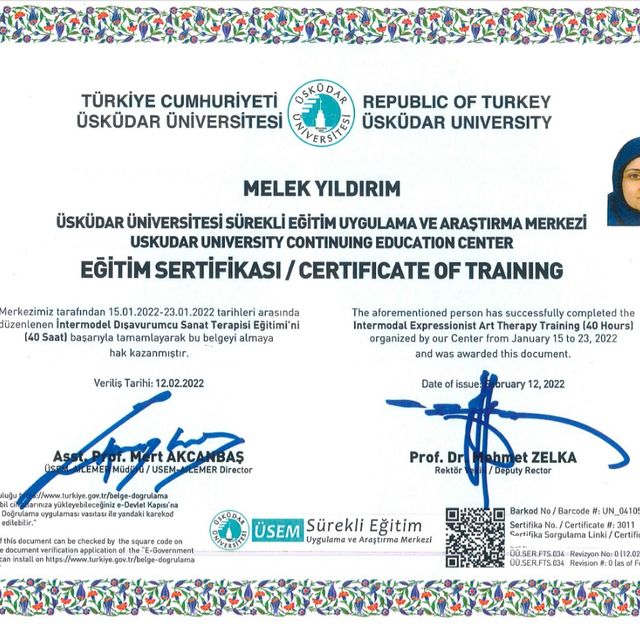 Resmi büyüt: certificate 12