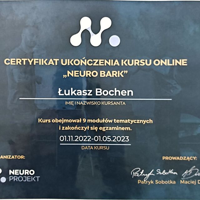 Powiększ obraz: certificate 4